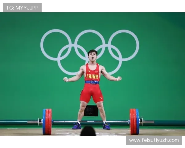 龙八体育：专注青少年体育教育与训练的专业机构